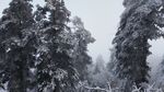 西岭雪山
