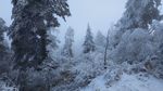 西岭雪山
