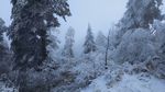 西岭雪山