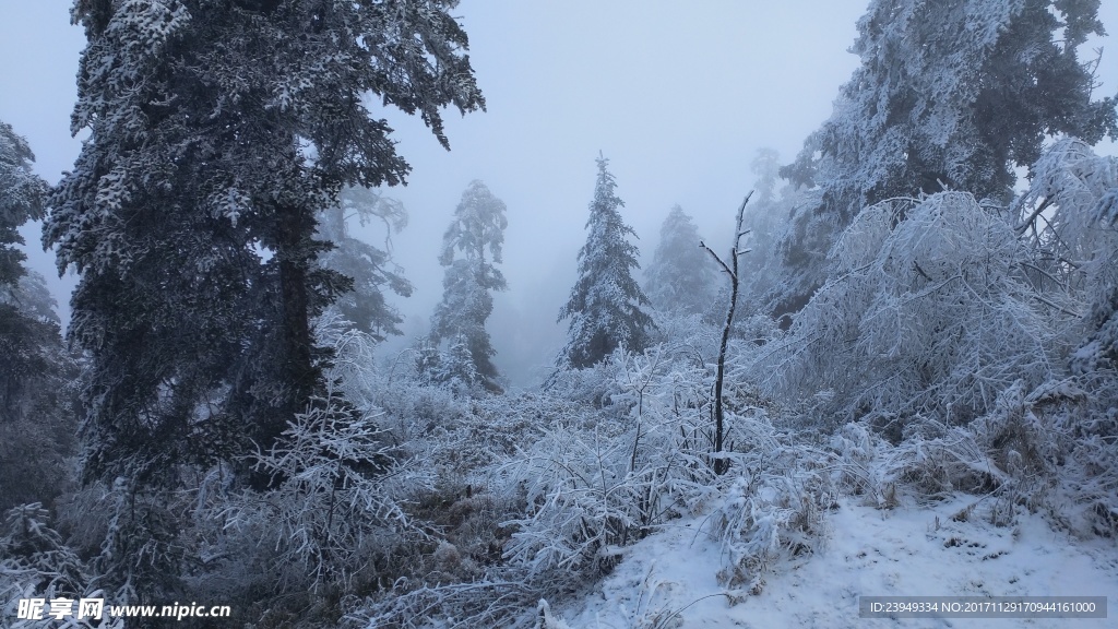 西岭雪山
