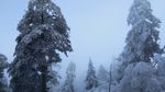 西岭雪山