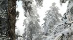 西岭雪山
