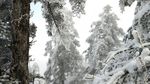 西岭雪山