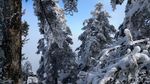 西岭雪山