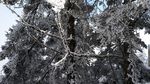 西岭雪山