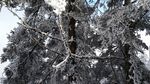 西岭雪山