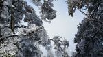 西岭雪山
