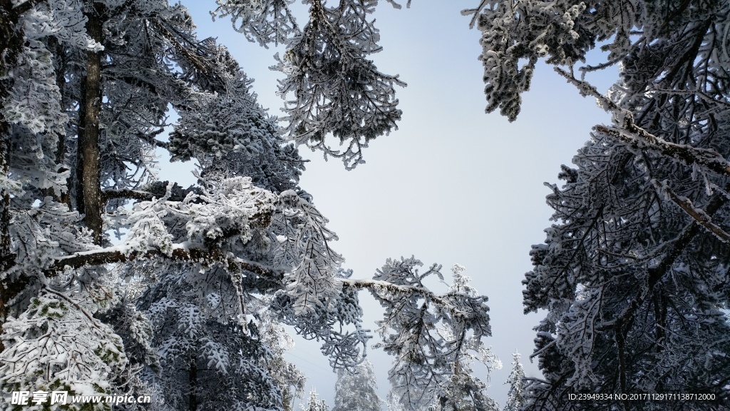 西岭雪山