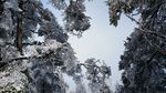 西岭雪山