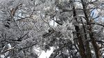 西岭雪山