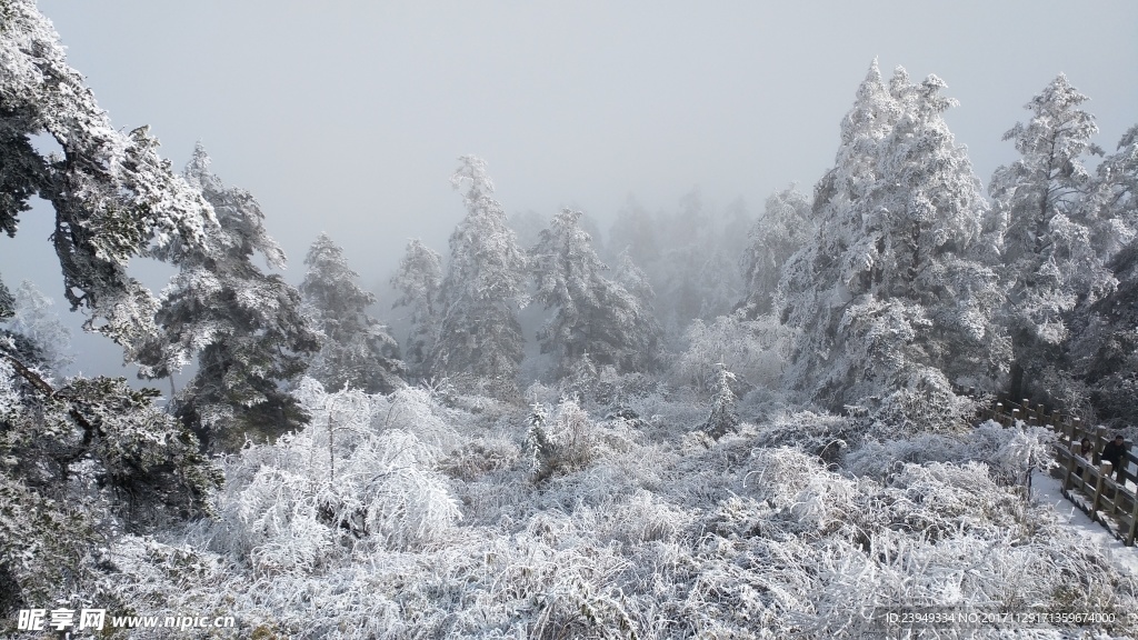 西岭雪山