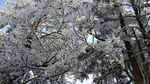 西岭雪山