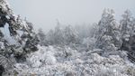 西岭雪山
