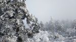 西岭雪山