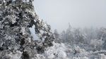 西岭雪山