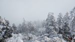 西岭雪山