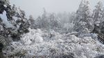 西岭雪山