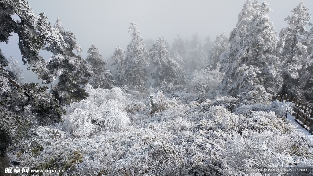 西岭雪山