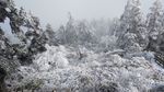 西岭雪山