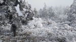 西岭雪山