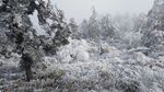 西岭雪山