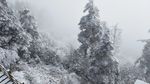 西岭雪山