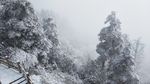 西岭雪山