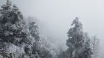 西岭雪山