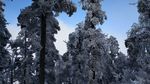 西岭雪山
