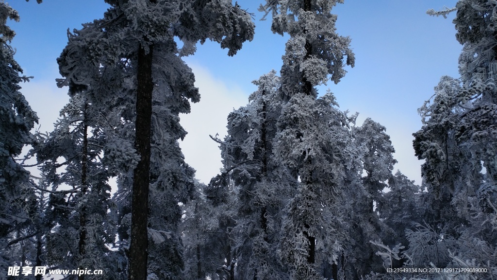 西岭雪山