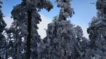 西岭雪山