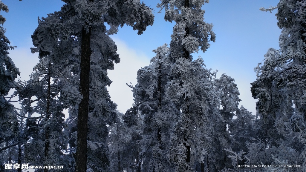 西岭雪山