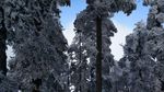 西岭雪山