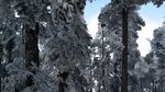 西岭雪山