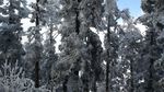 西岭雪山