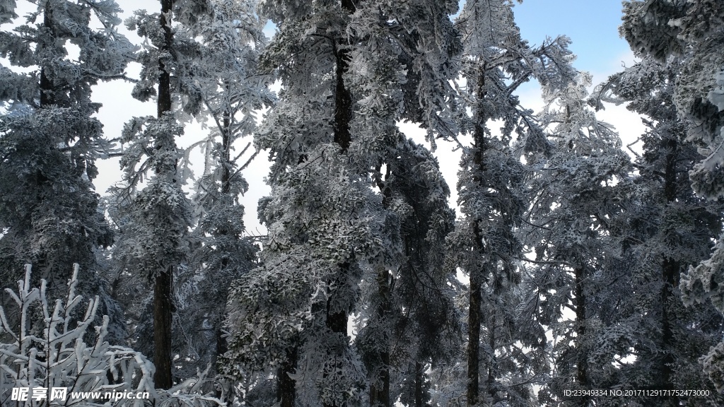 西岭雪山