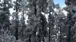 西岭雪山