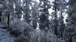 西岭雪山