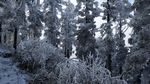西岭雪山