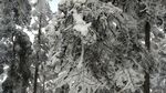 西岭雪山