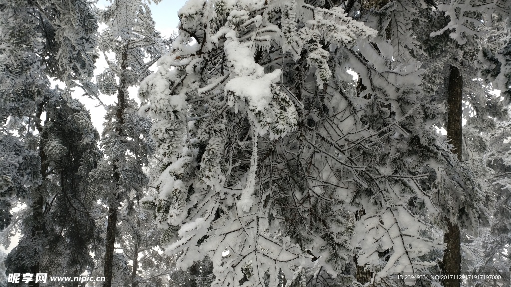 西岭雪山