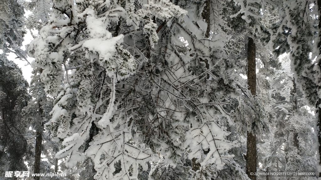 西岭雪山