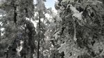西岭雪山