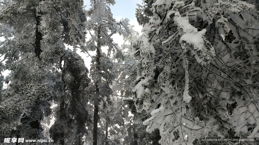 西岭雪山