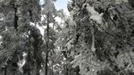 西岭雪山