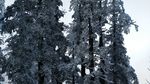 西岭雪山