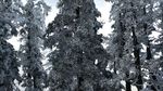 西岭雪山