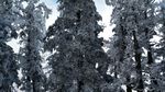 西岭雪山