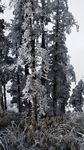 西岭雪山