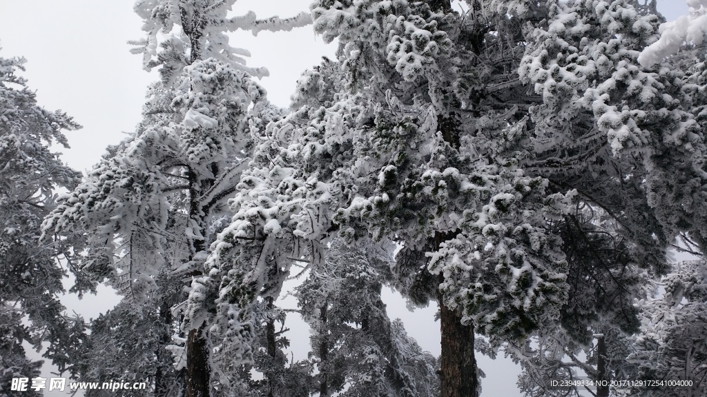 西岭雪山